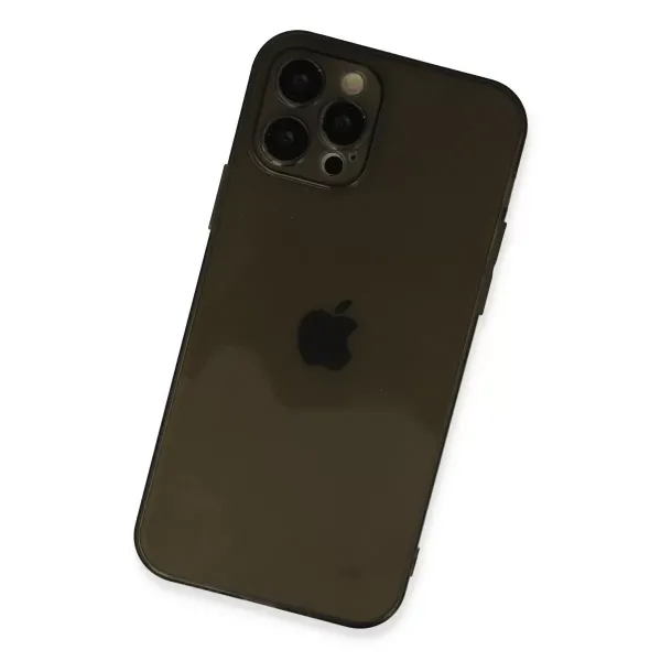 Apple İphone 12 Pro Max Kılıf Fly Lens Silikon - Siyah