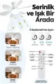 6 Kanatlı 3 Kademeli Led Aydınlatmalı Uzaktan Kumandalı Tavan Vantilatörü