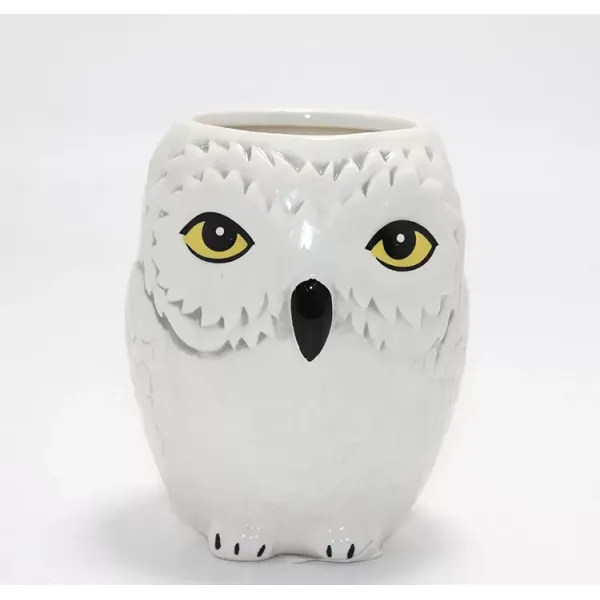 Harry Potter Hedwig Tasarım Porselen Kupa Bardak Alk4494