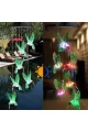 Solar Led Işıklı Kuşlu Bahçe Dekoru 6 Ledli,renkli Işık